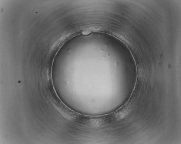 X0000069380302200605192155