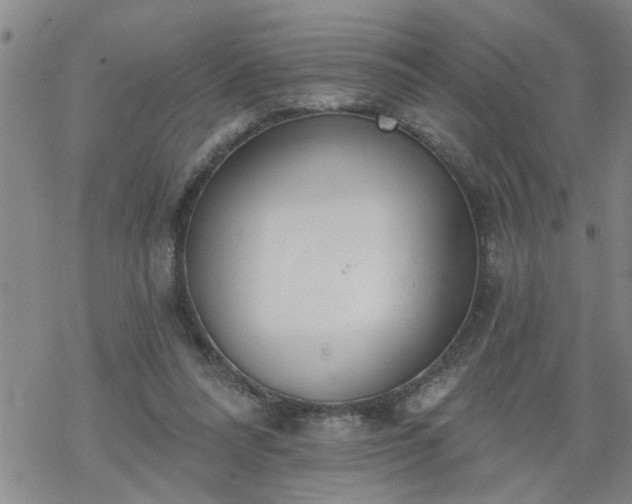 X0000069380304200605192155