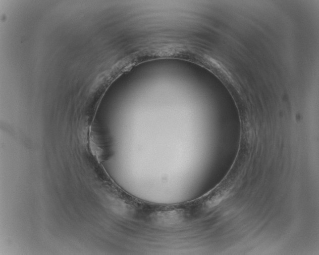 X0000069380307200605192155