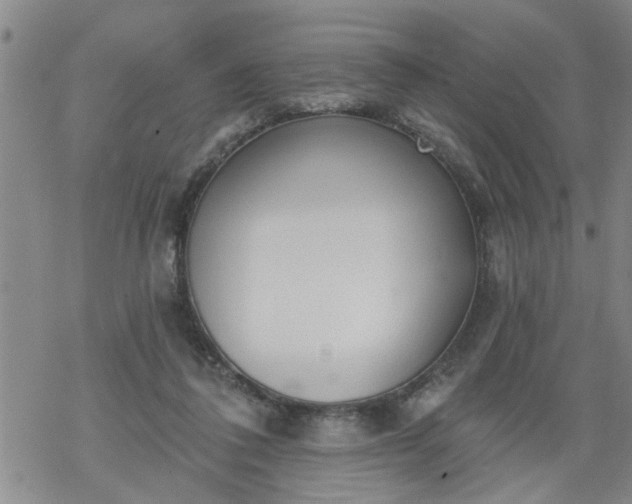 X0000069380308200605192155