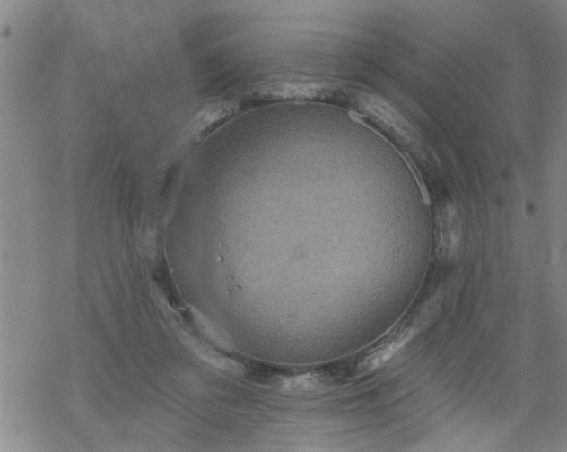 X0000069380309200605192155