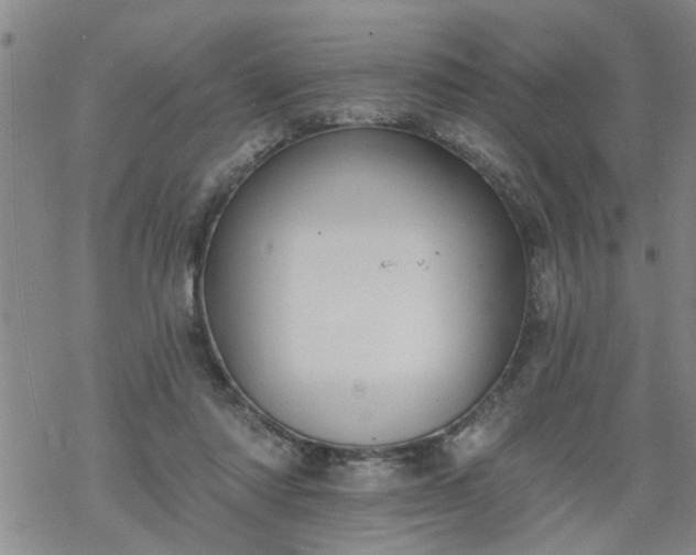 X0000069380310200605192155