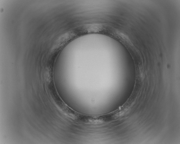 X0000069380311200605192155