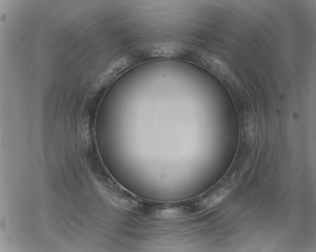 X0000069380312200605192155