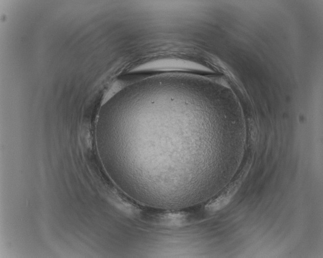 X0000069380313200605192155