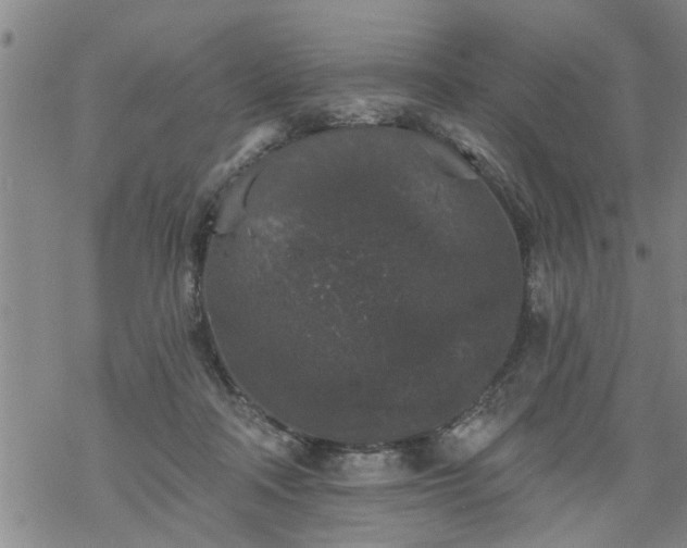 X0000069380314200605192155