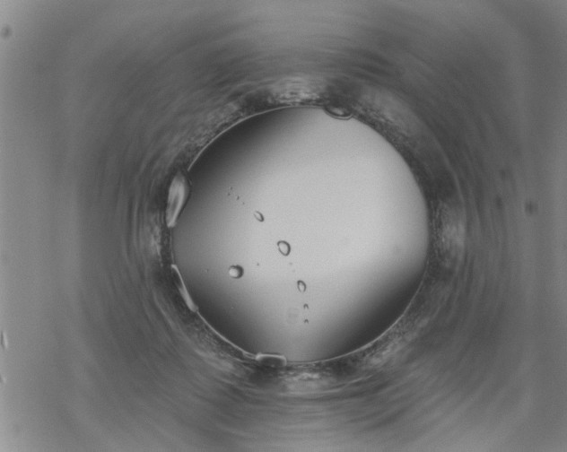 X0000069380315200605192155