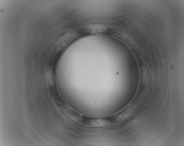 X0000069380316200605192155