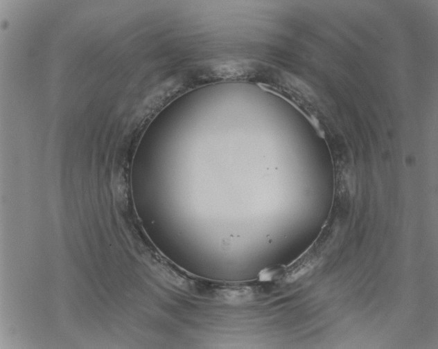 X0000069380317200605192155