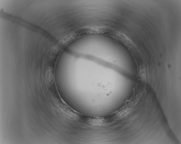 X0000069380318200605192155