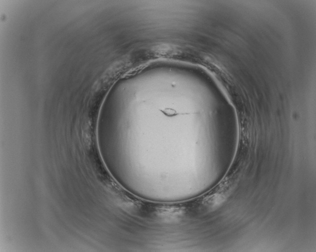 X0000069380319200605192155