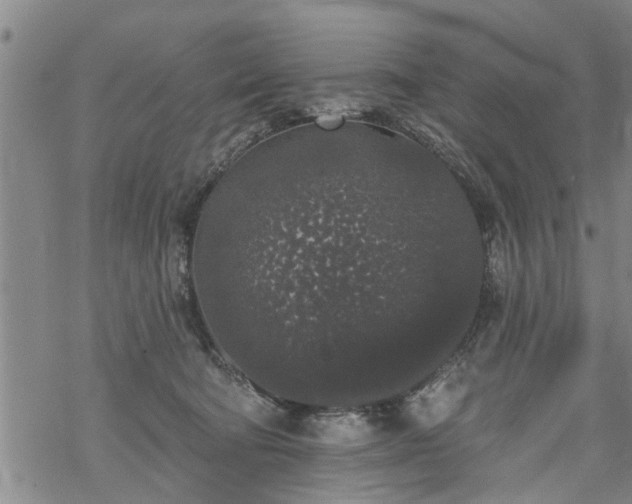 X0000069380322200605192155