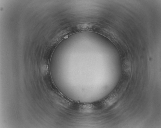 X0000069380324200605192155