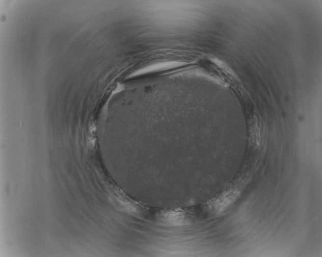 X0000069380325200605192155