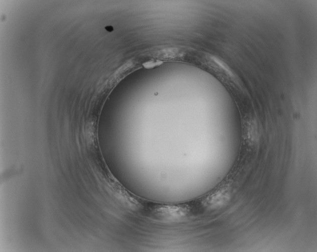 X0000069380326200605192155