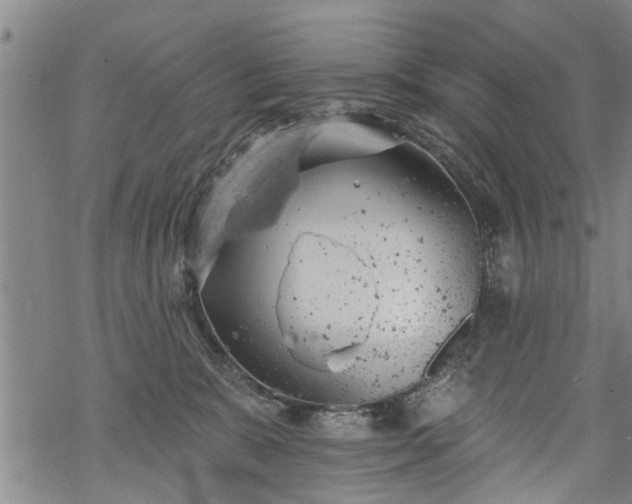 X0000069380327200605192155