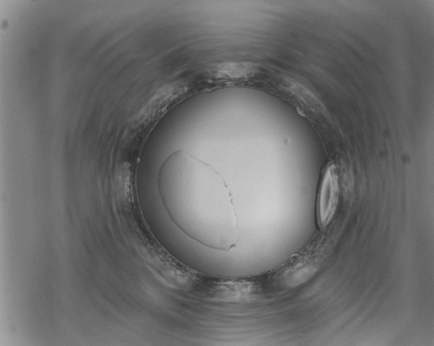 X0000069380328200605192155