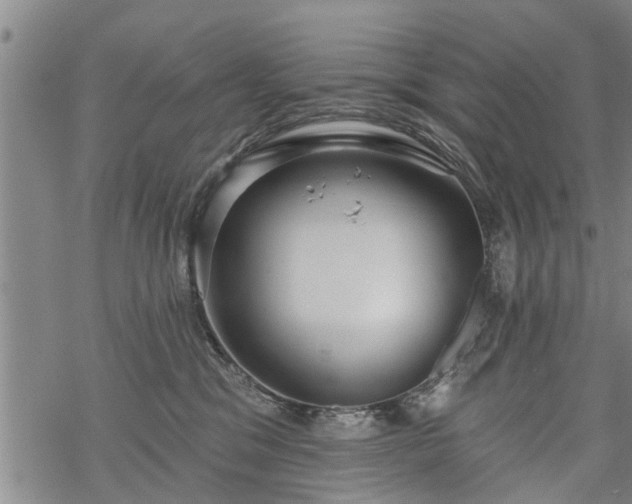 X0000069380329200605192155