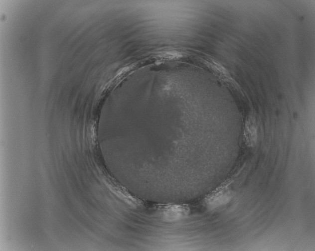 X0000069380330200605192155