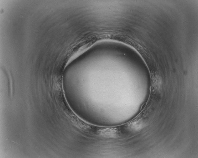 X0000069380331200605192155