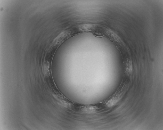 X0000069380332200605192155