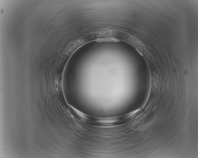 X0000069380333200605192155