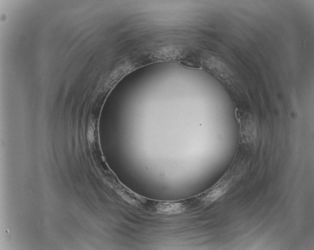 X0000069380334200605192155