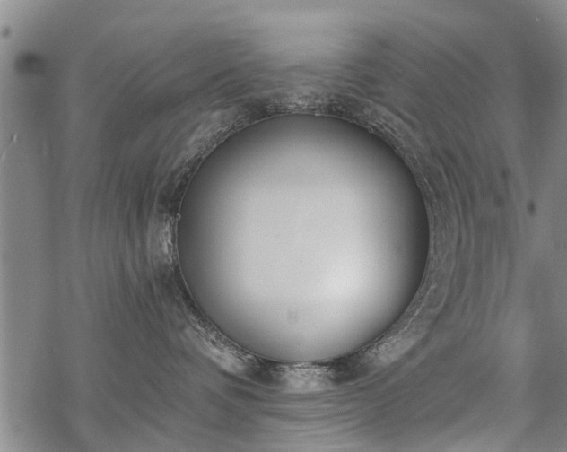 X0000069380336200605192155