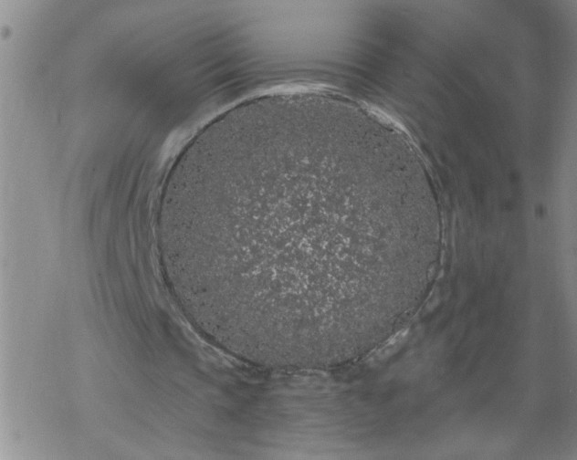 X0000069380337200605192154