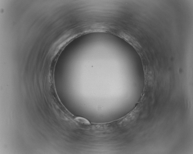 X0000069380338200605192154