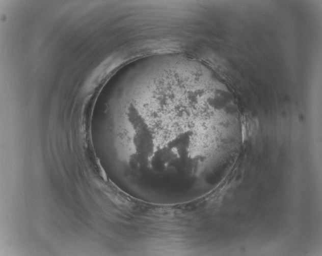 X0000069380339200605192154