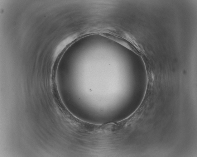 X0000069380340200605192154