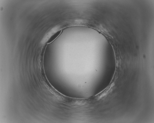 X0000069380341200605192154