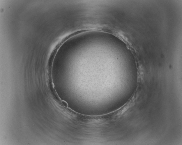 X0000069380342200605192154