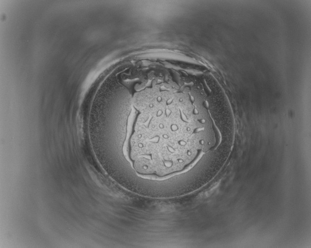 X0000069380343200605192154