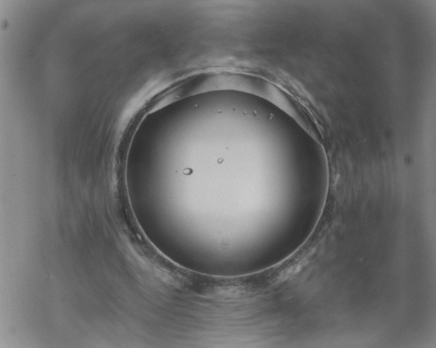 X0000069380344200605192154