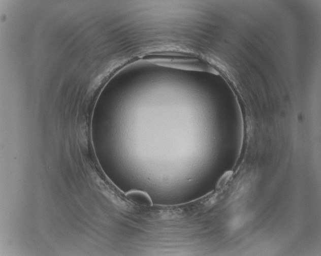 X0000069380345200605192154