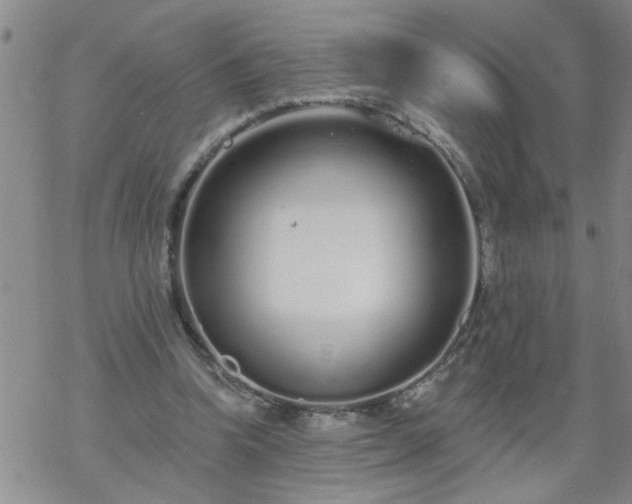 X0000069380346200605192154