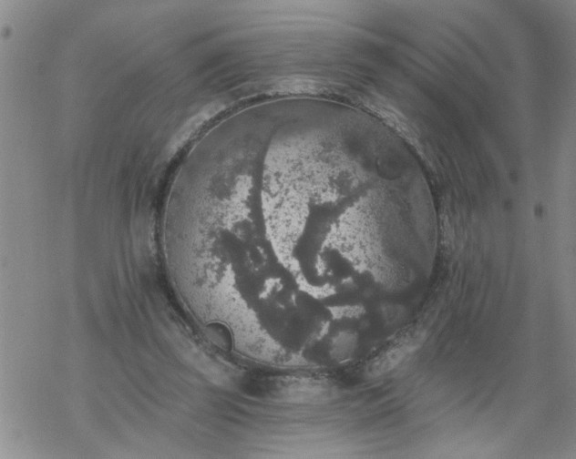 X0000069380347200605192154