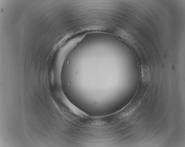 X0000069380348200605192154