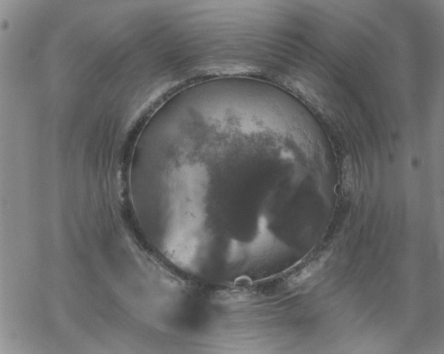 X0000069380351200605192154