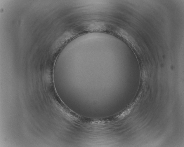 X0000069380353200605192154