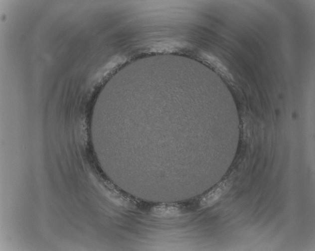 X0000069380354200605192154