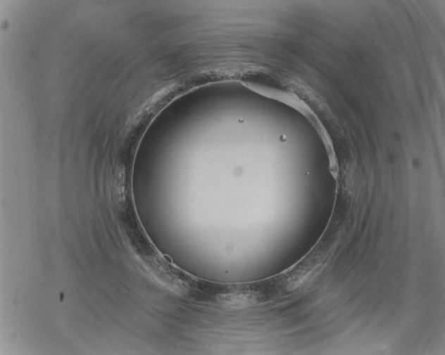 X0000069380356200605192154