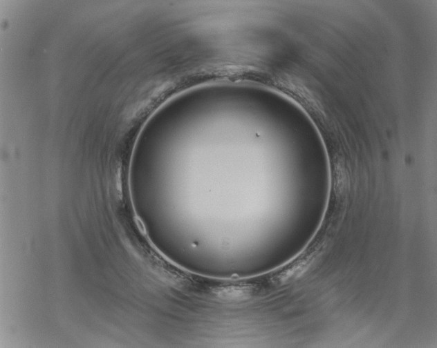 X0000069380358200605192154