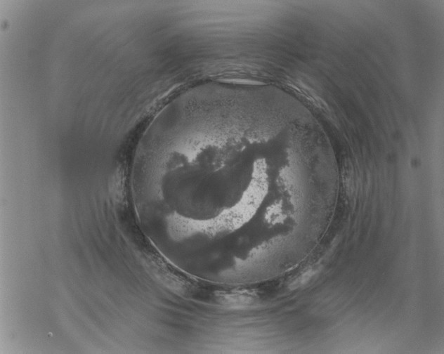 X0000069380359200605192155