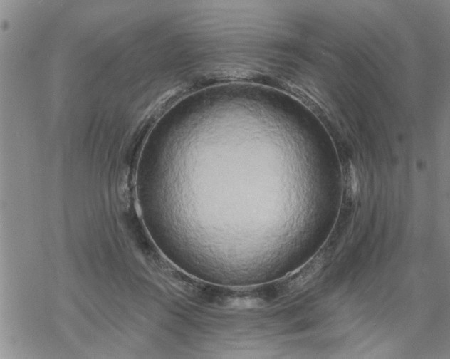 X0000069380360200605192155