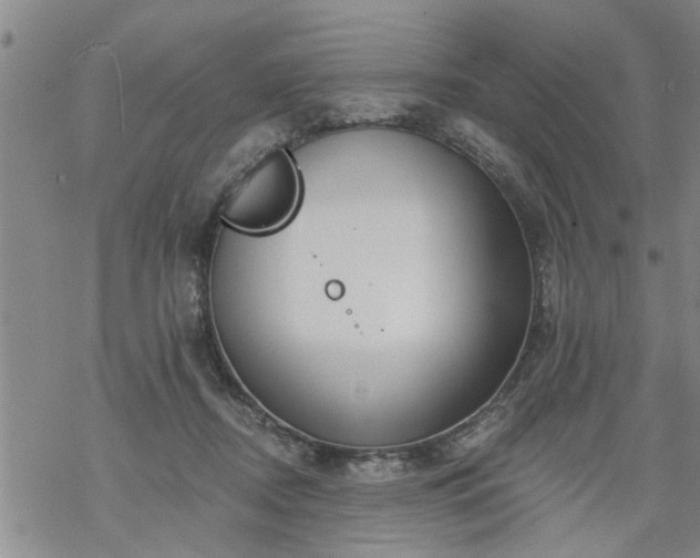 X0000069380362200605192155