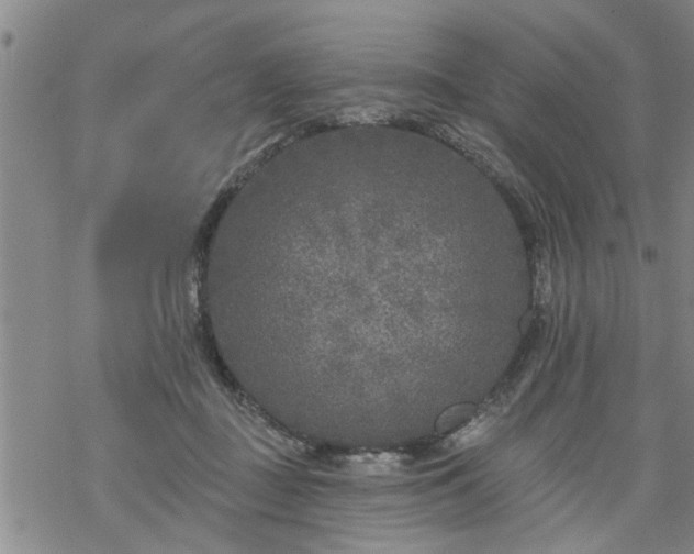 X0000069380363200605192155