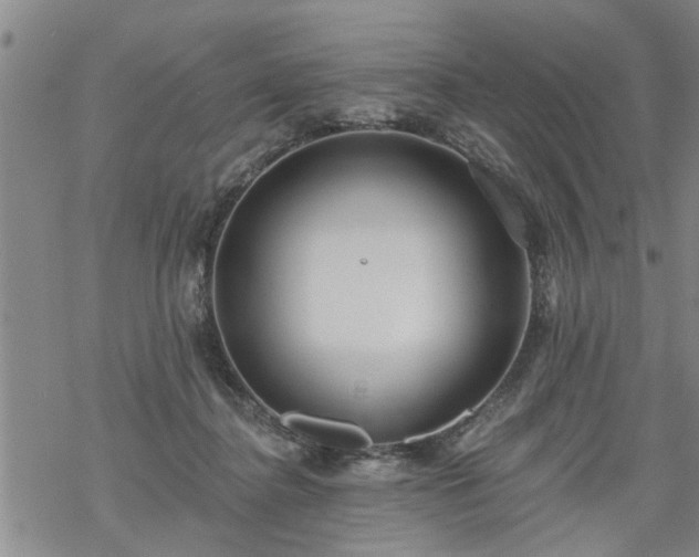 X0000069380364200605192155